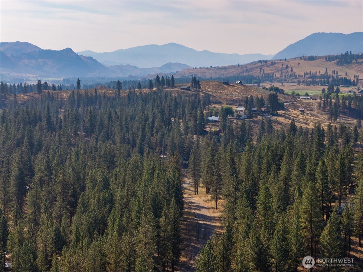 96 Twin Lakes Drive , Winthrop, WA 98862