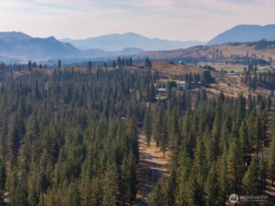 96 Twin Lakes Drive , Winthrop, WA 98862 - Photo 12