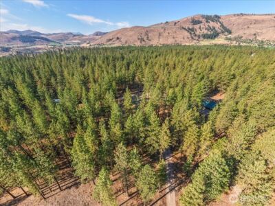 96 Twin Lakes Drive , Winthrop, WA 98862 - Photo 14