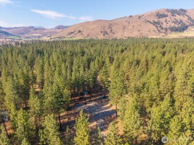 96 Twin Lakes Drive , Winthrop, WA 98862 - Photo 15