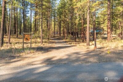 96 Twin Lakes Drive , Winthrop, WA 98862 - Photo 17