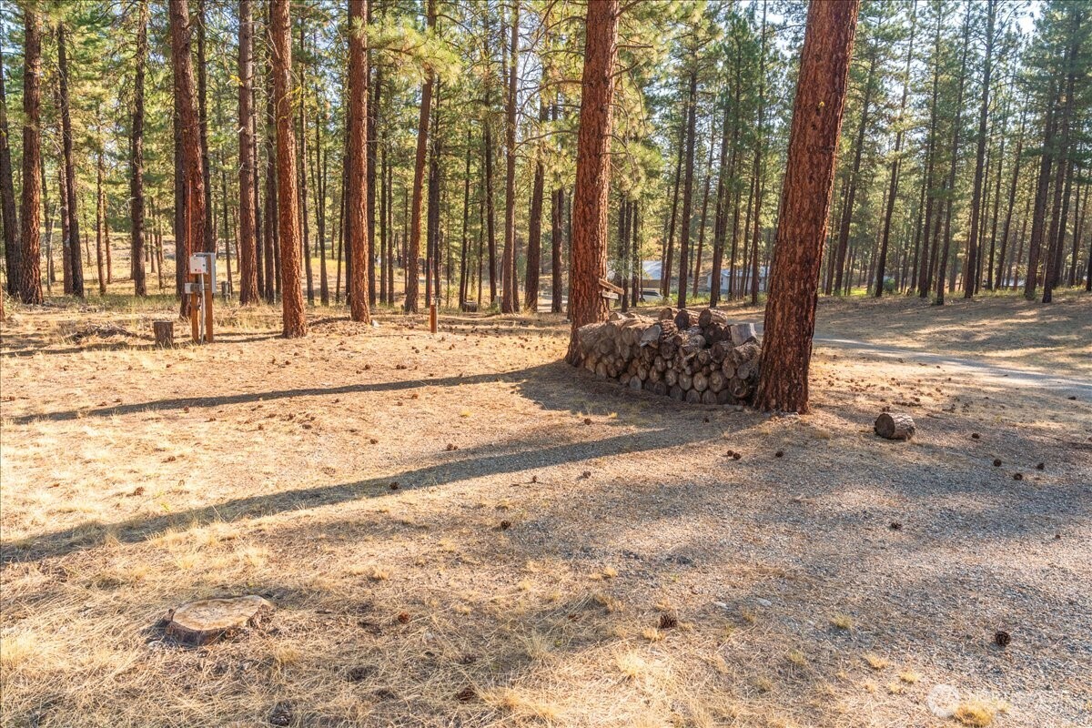 96 Twin Lakes Drive , Winthrop, WA 98862