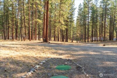96 Twin Lakes Drive , Winthrop, WA 98862 - Photo 30