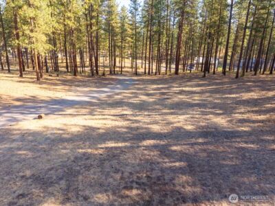 96 Twin Lakes Drive , Winthrop, WA 98862 - Photo 3