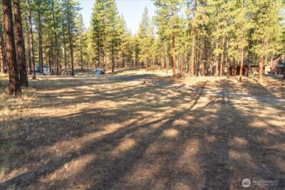 96 Twin Lakes Drive , Winthrop, WA 98862 - Photo 33