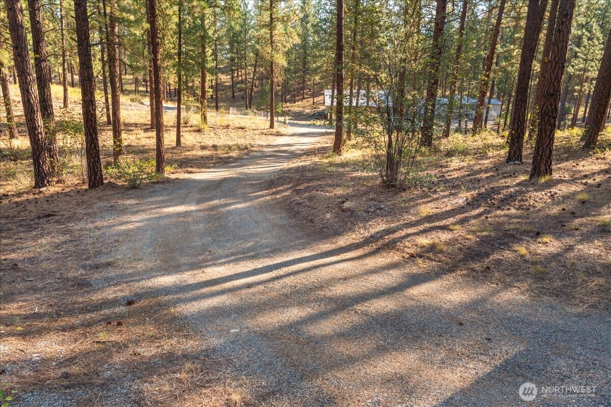 96 Twin Lakes Drive , Winthrop, WA 98862