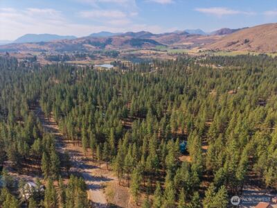 96 Twin Lakes Drive , Winthrop, WA 98862 - Photo 4