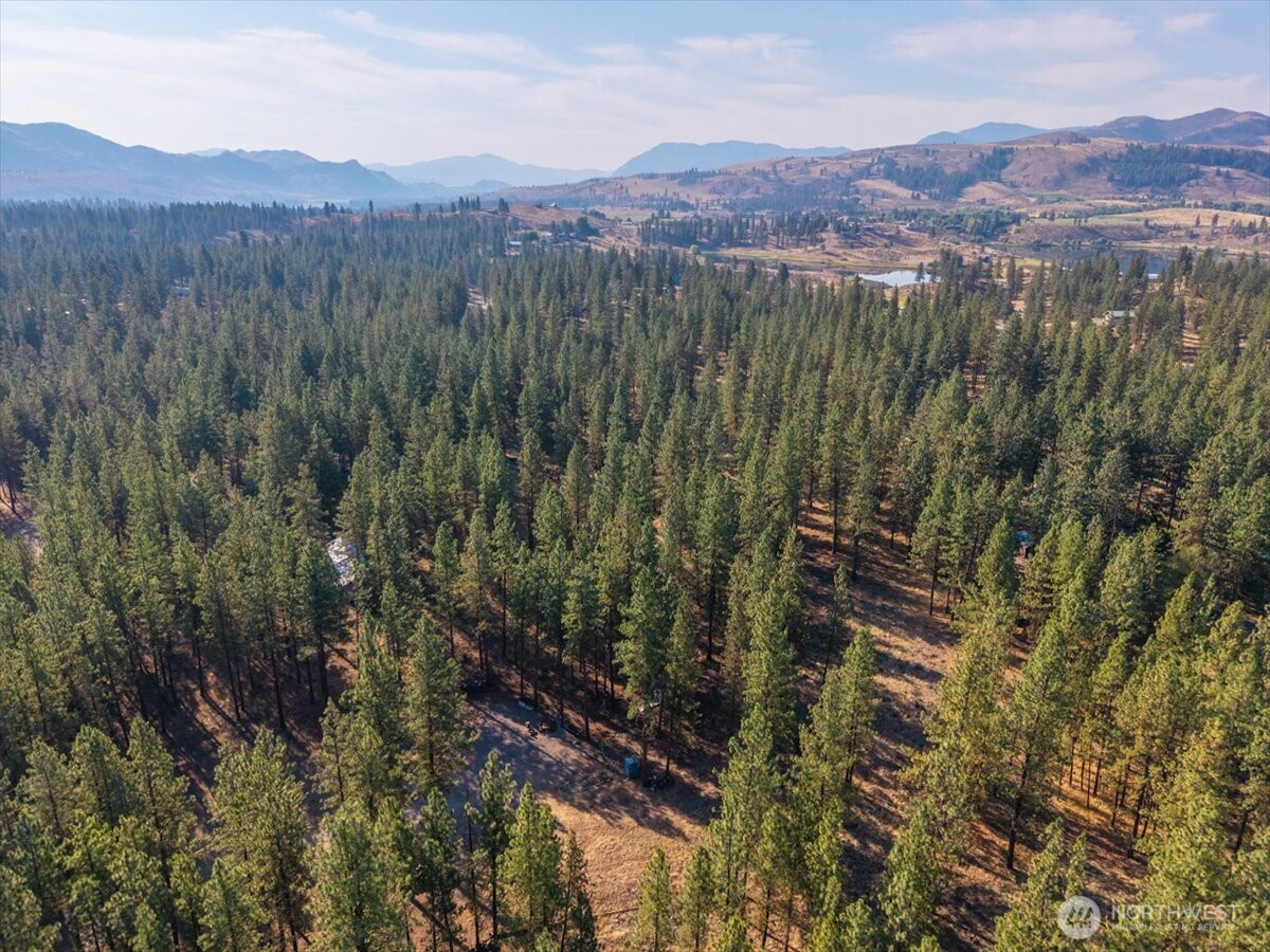 96 Twin Lakes Drive , Winthrop, WA 98862