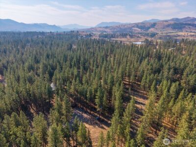 96 Twin Lakes Drive , Winthrop, WA 98862 - Photo 6