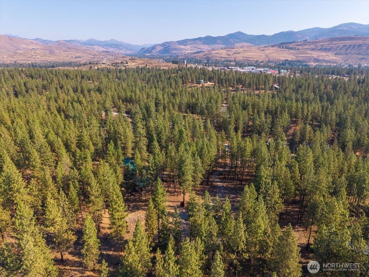 96 Twin Lakes Drive , Winthrop, WA 98862
