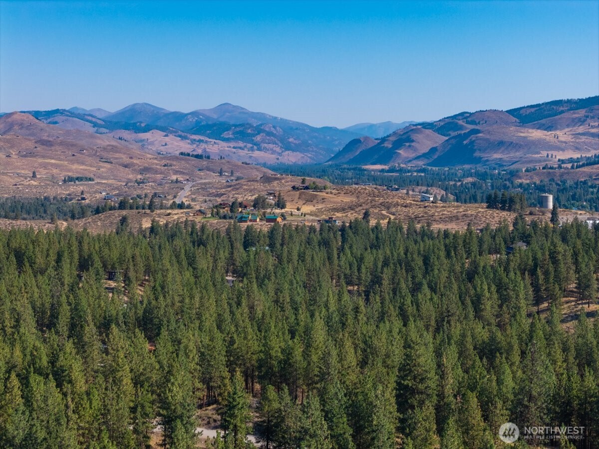 96 Twin Lakes Drive , Winthrop, WA 98862