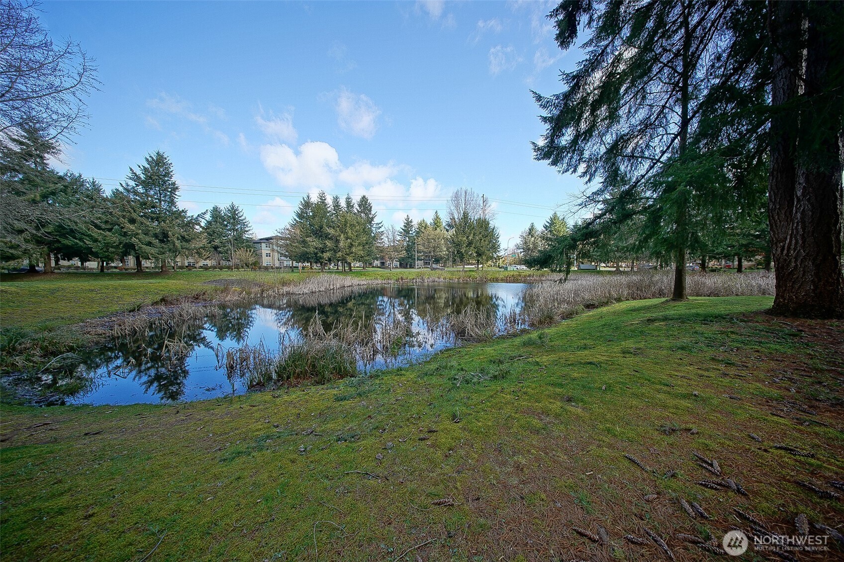 6001 Merlot Lane SE, Lacey, WA 98513