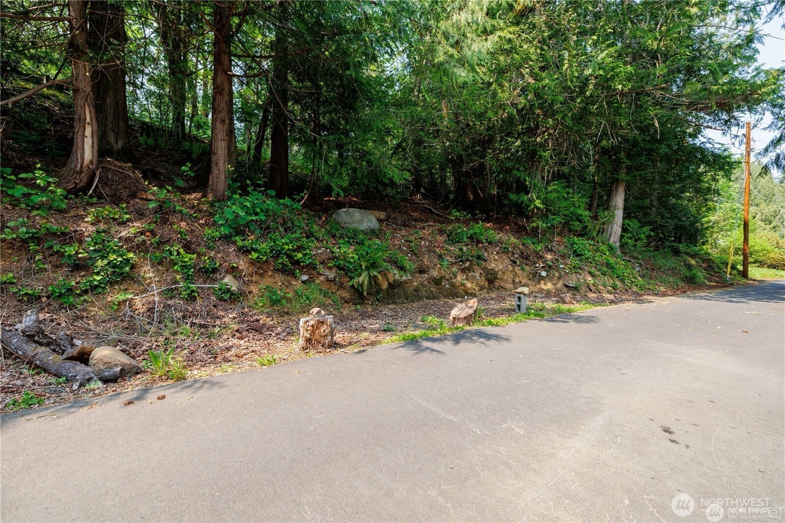 40 N Triton Head Drive , Lilliwaup, WA 98555