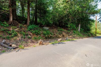 40 N Triton Head Drive , Lilliwaup, WA 98555 - Photo 34