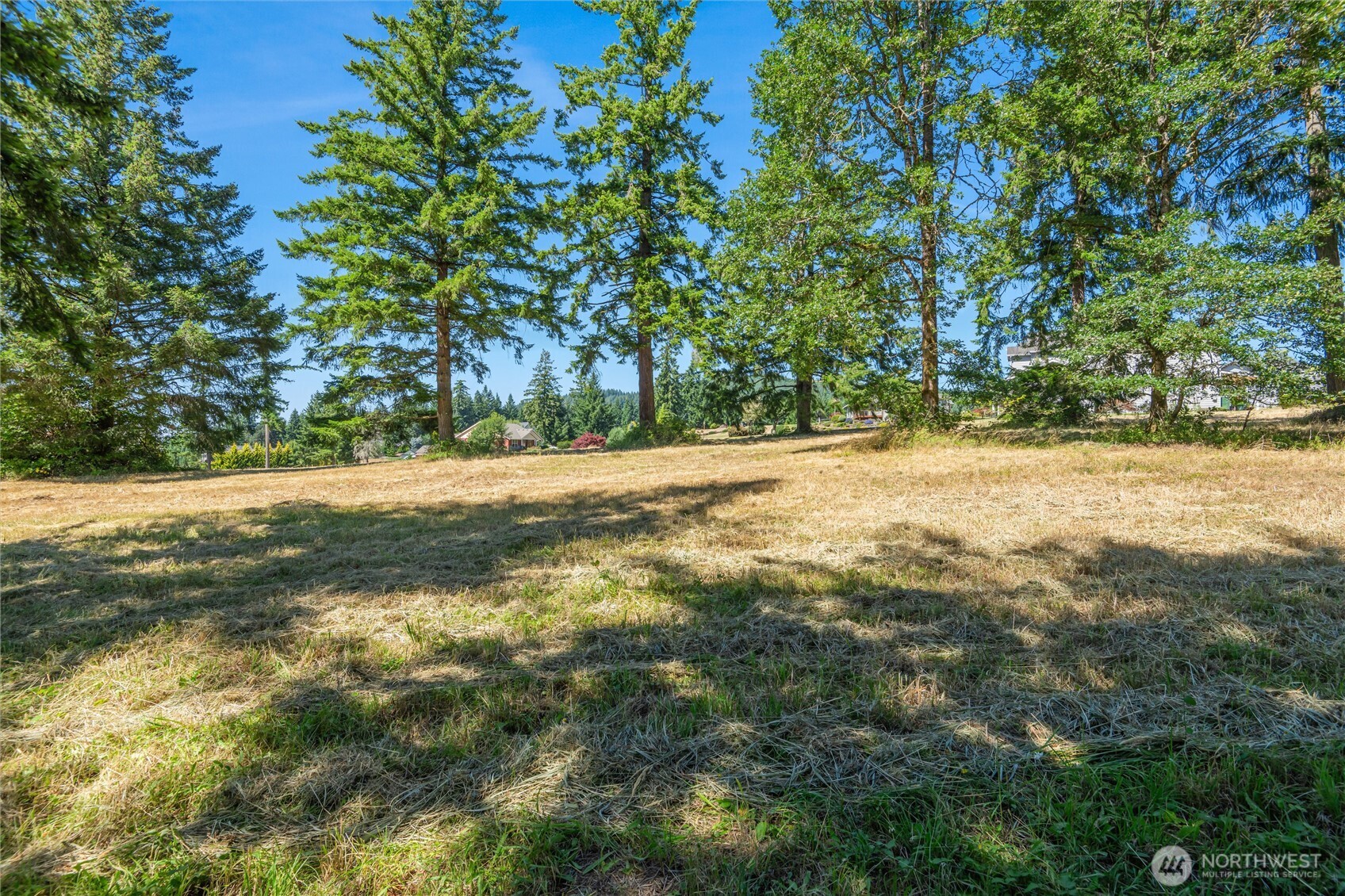 165 Saturn Ave , Woodland, WA 98674