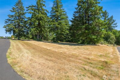 165 Saturn Ave , Woodland, WA 98674 - Photo 12