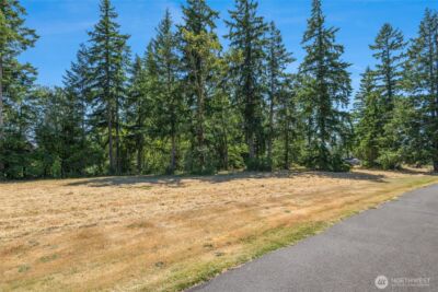 165 Saturn Ave , Woodland, WA 98674 - Photo 13