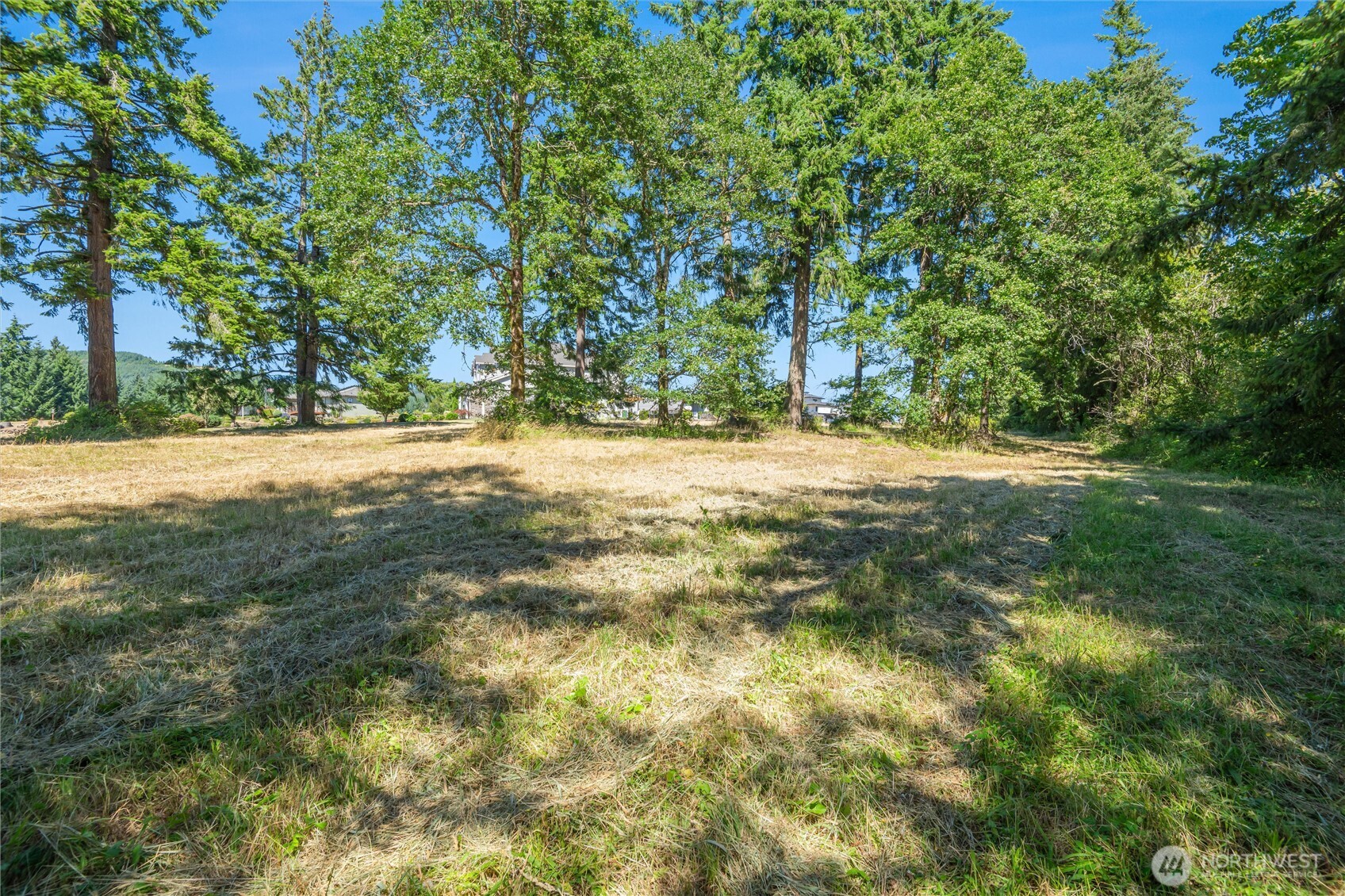 165 Saturn Ave , Woodland, WA 98674