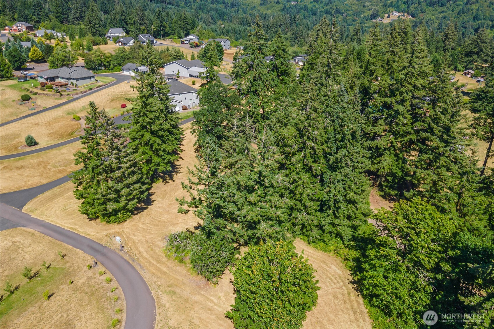 165 Saturn Ave , Woodland, WA 98674