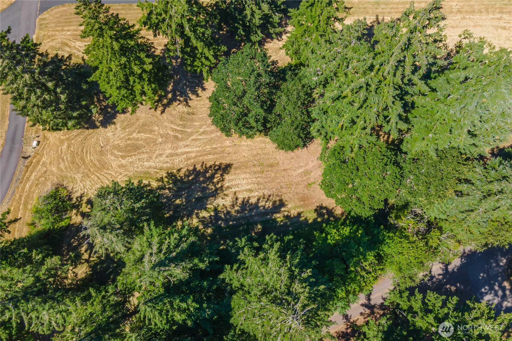 165 Saturn Ave , Woodland, WA 98674