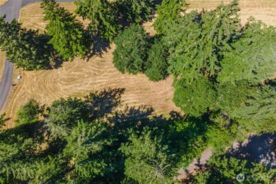 165 Saturn Ave , Woodland, WA 98674 - Photo 20