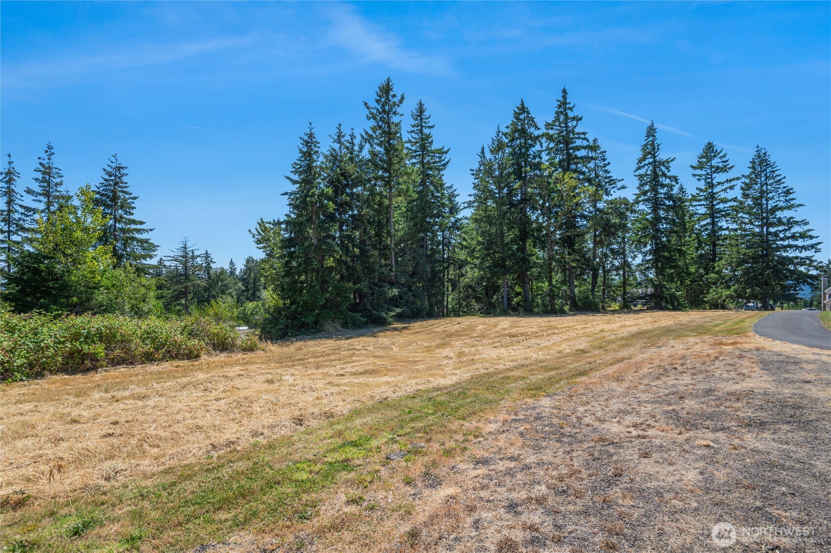 165 Saturn Ave , Woodland, WA 98674