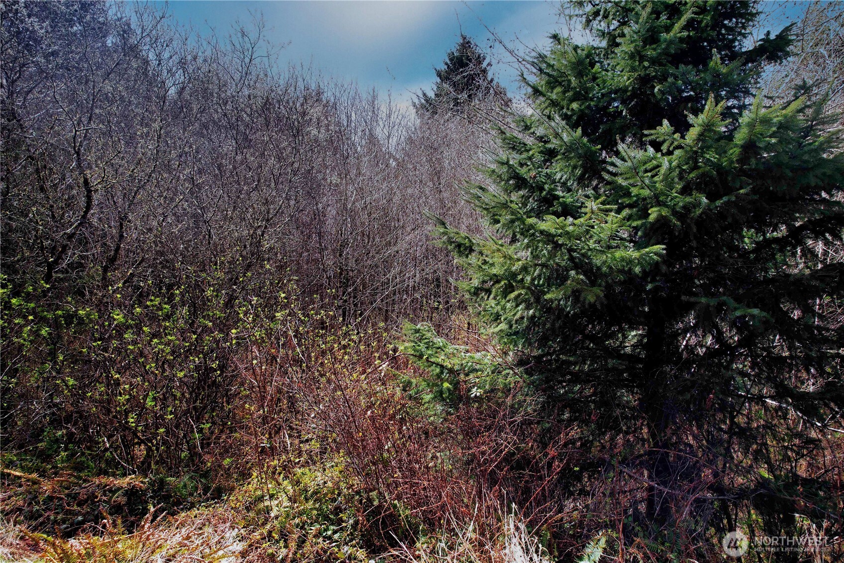 31 Ocean Beach Road , Pacific Beach, WA 98571