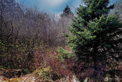 31 Ocean Beach Road , Pacific Beach, WA 98571