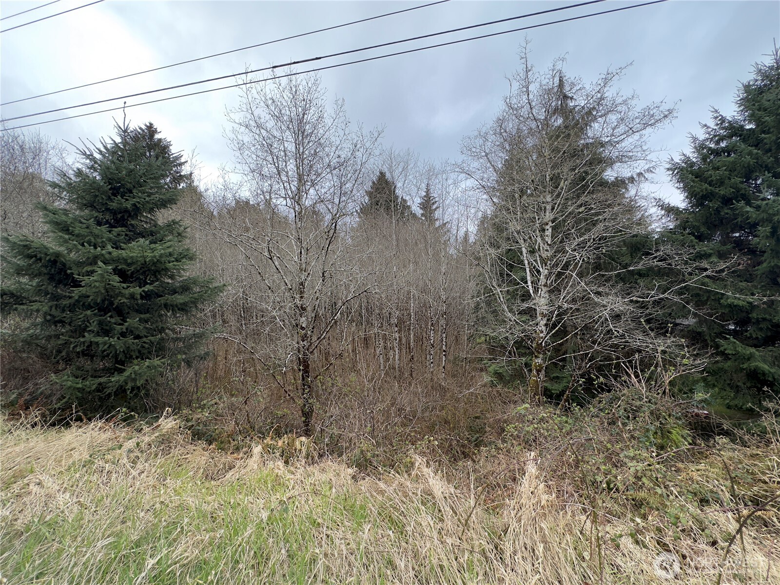 31 Ocean Beach Road , Pacific Beach, WA 98571