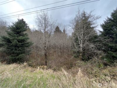 31 Ocean Beach Road , Pacific Beach, WA 98571 - Photo 16