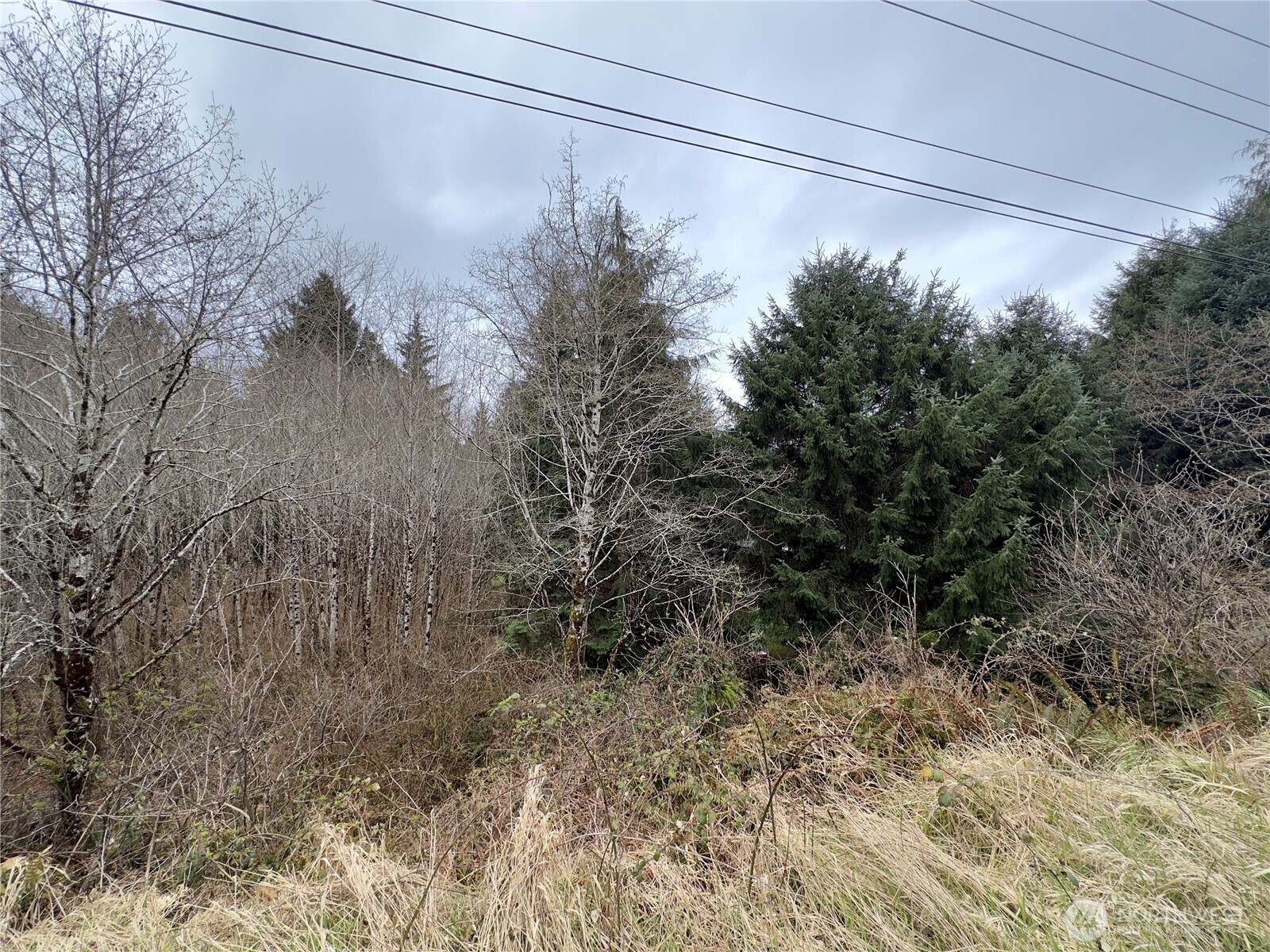 31 Ocean Beach Road , Pacific Beach, WA 98571