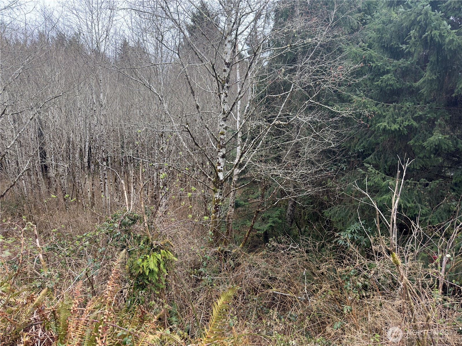 31 Ocean Beach Road , Pacific Beach, WA 98571