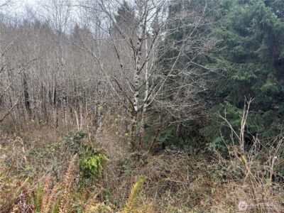 31 Ocean Beach Road , Pacific Beach, WA 98571 - Photo 18