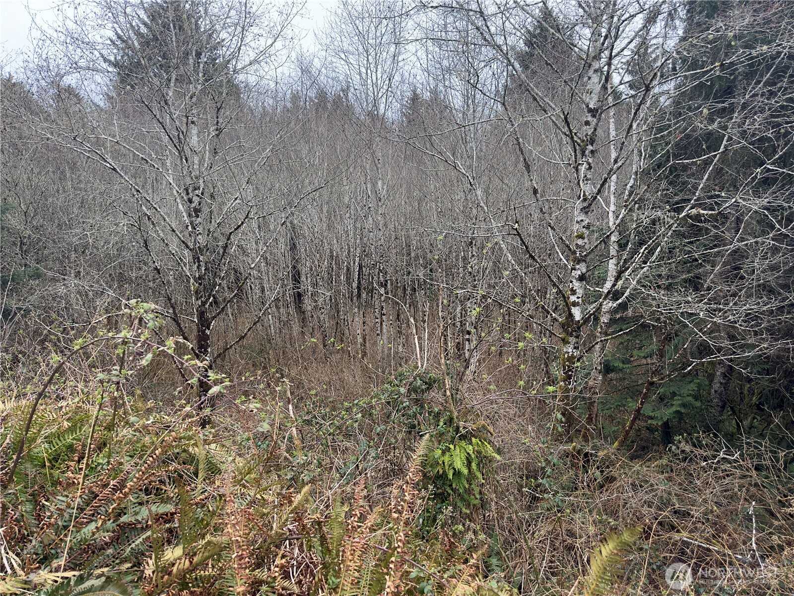 31 Ocean Beach Road , Pacific Beach, WA 98571