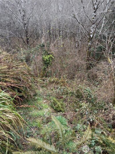 31 Ocean Beach Road , Pacific Beach, WA 98571 - Photo 20