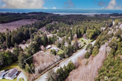 31 Ocean Beach Road , Pacific Beach, WA 98571 - Photo 2