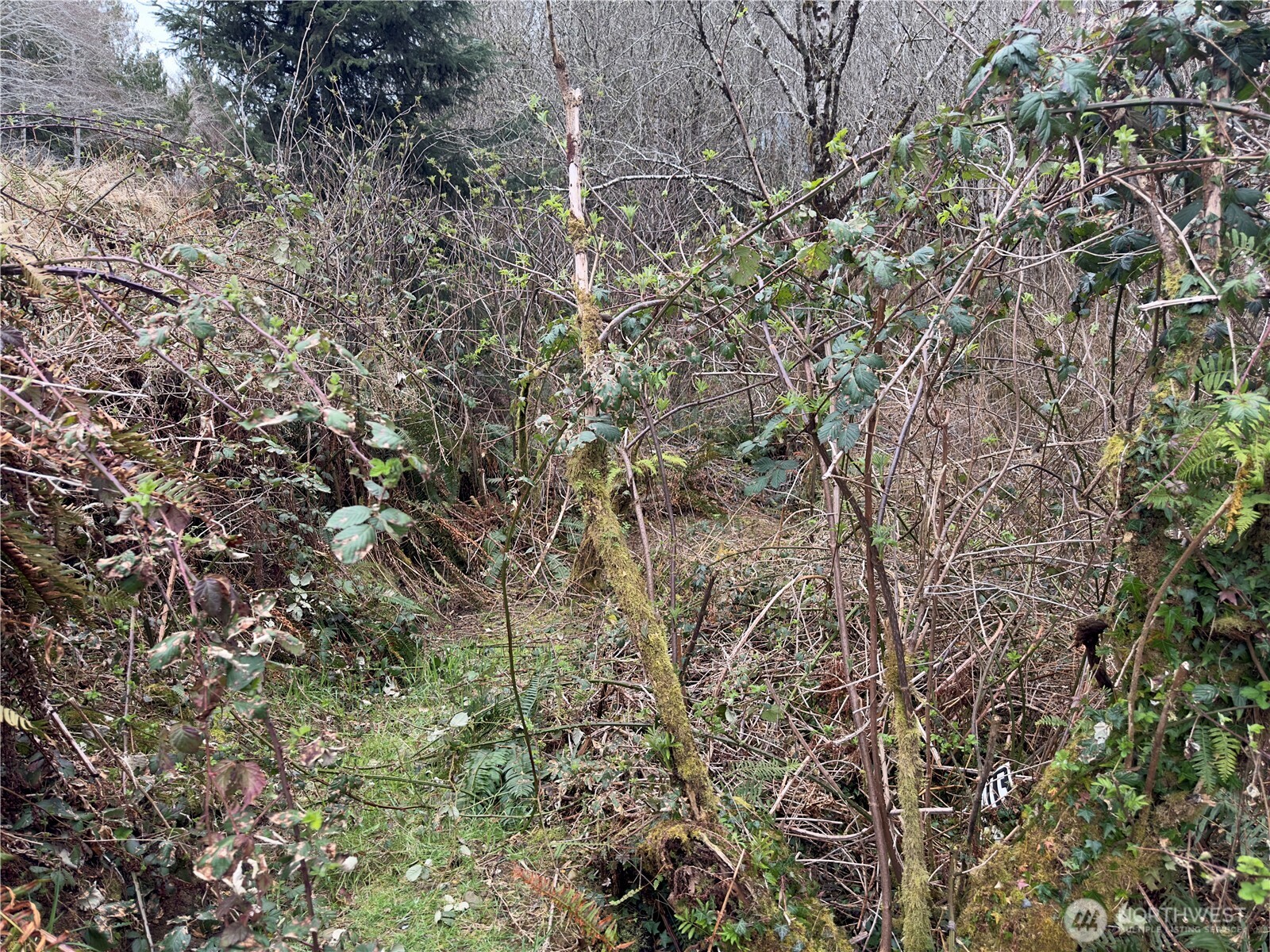 31 Ocean Beach Road , Pacific Beach, WA 98571