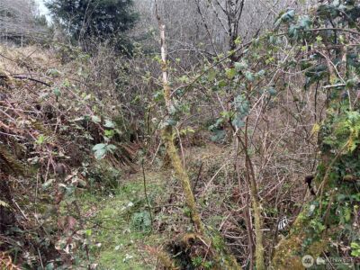 31 Ocean Beach Road , Pacific Beach, WA 98571 - Photo 21