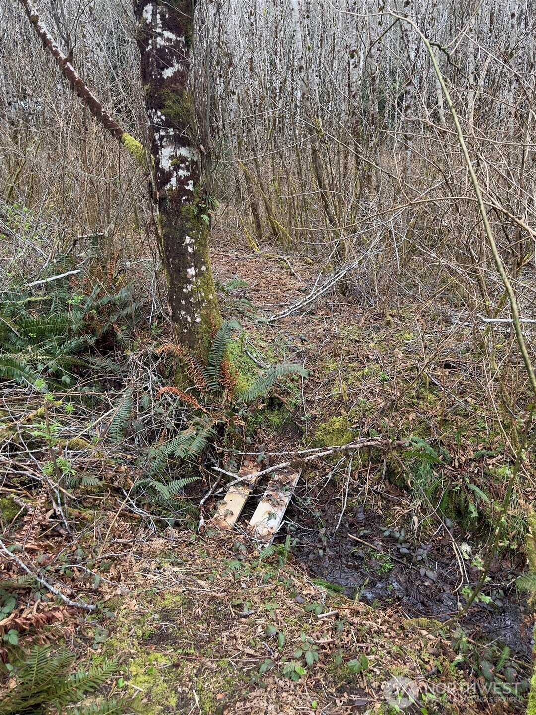 31 Ocean Beach Road , Pacific Beach, WA 98571