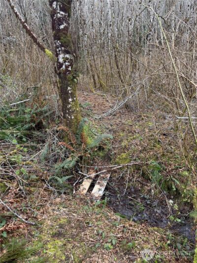 31 Ocean Beach Road , Pacific Beach, WA 98571 - Photo 22