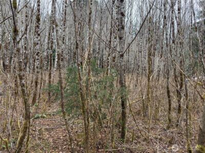 31 Ocean Beach Road , Pacific Beach, WA 98571 - Photo 23