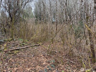 31 Ocean Beach Road , Pacific Beach, WA 98571 - Photo 24