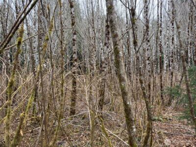 31 Ocean Beach Road , Pacific Beach, WA 98571 - Photo 25