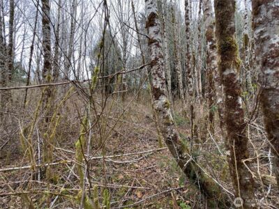 31 Ocean Beach Road , Pacific Beach, WA 98571 - Photo 26