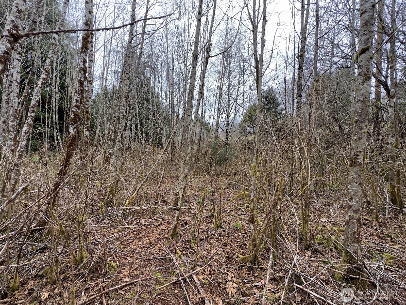 31 Ocean Beach Road , Pacific Beach, WA 98571