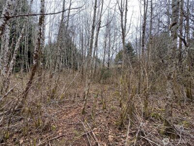 31 Ocean Beach Road , Pacific Beach, WA 98571 - Photo 27