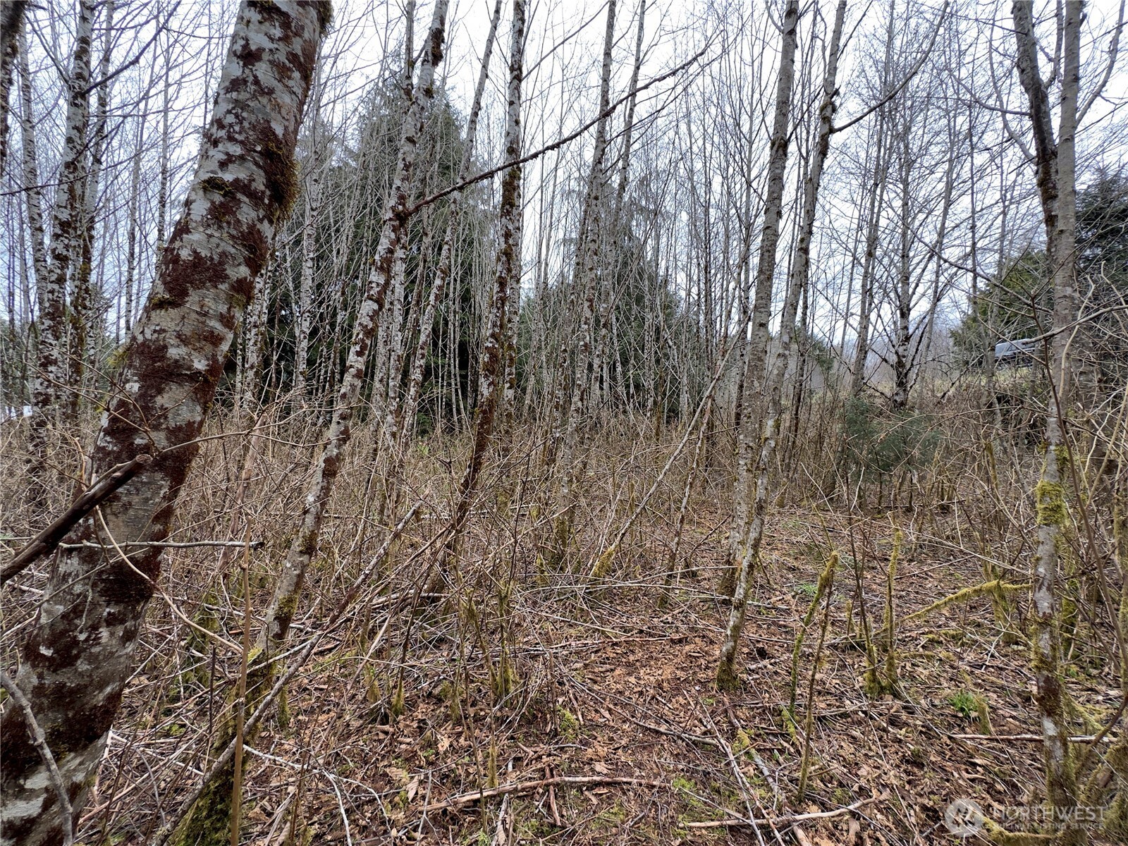 31 Ocean Beach Road , Pacific Beach, WA 98571