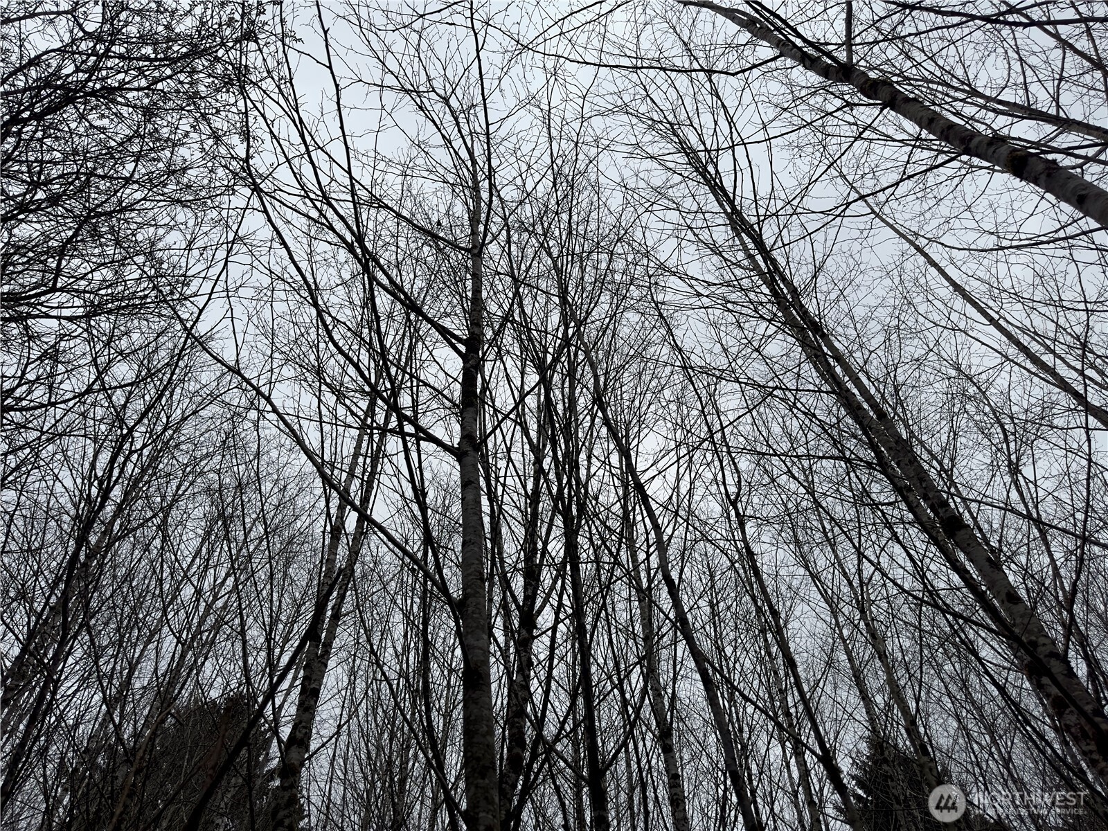 31 Ocean Beach Road , Pacific Beach, WA 98571