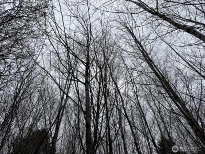 31 Ocean Beach Road , Pacific Beach, WA 98571 - Photo 29