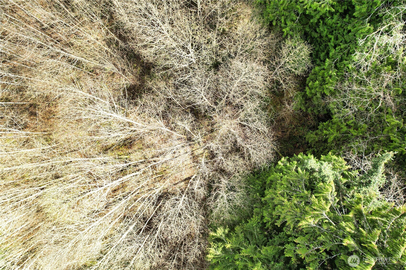 31 Ocean Beach Road , Pacific Beach, WA 98571